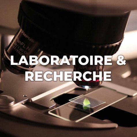 Microscope analyse plaquette